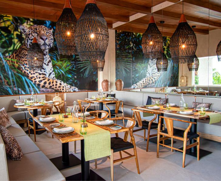 Balam Hotel NYX Cancún Cancun Balam Hotel NYX Cancún Cancun