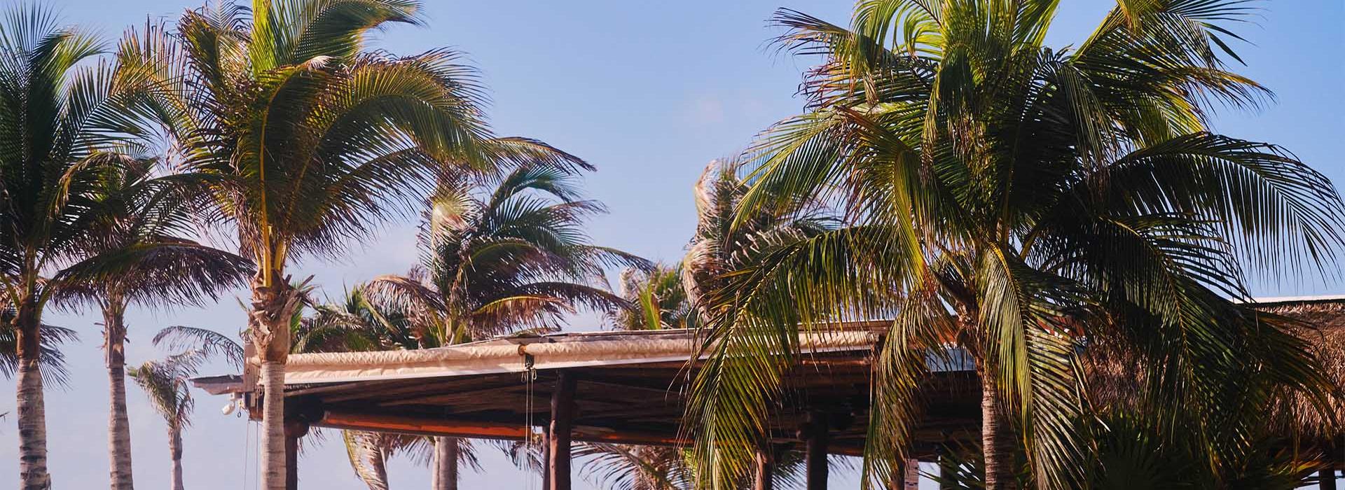 3 Hotel NYX Cancún Cancun 3 Hotel NYX Cancún Cancun