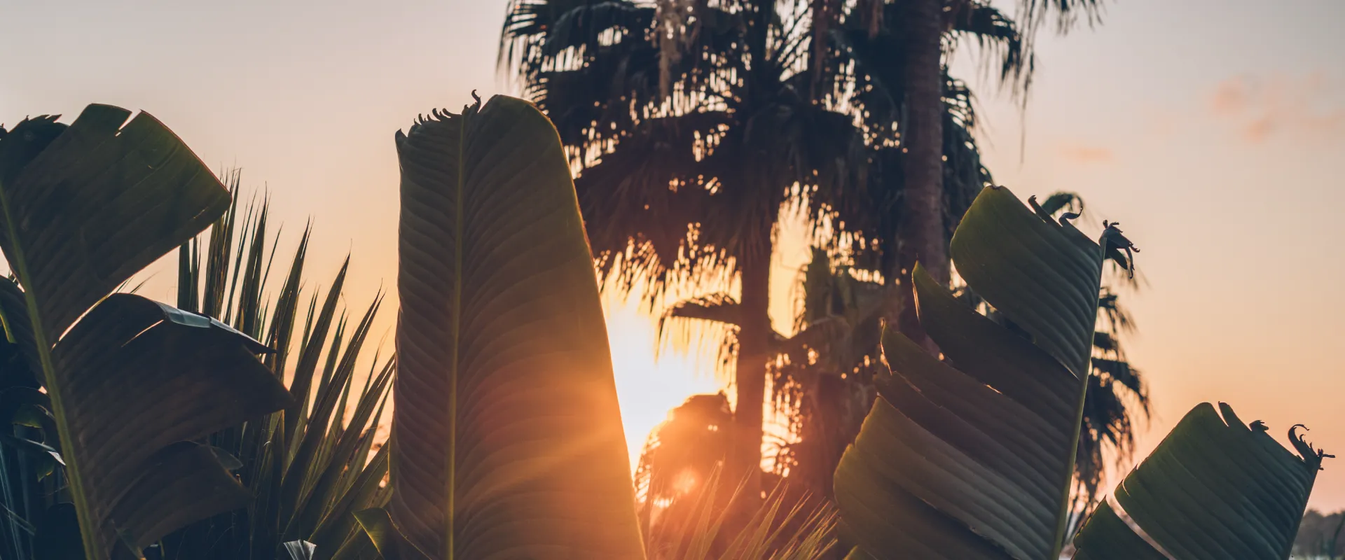  Hotel NYX Cancún Cancun