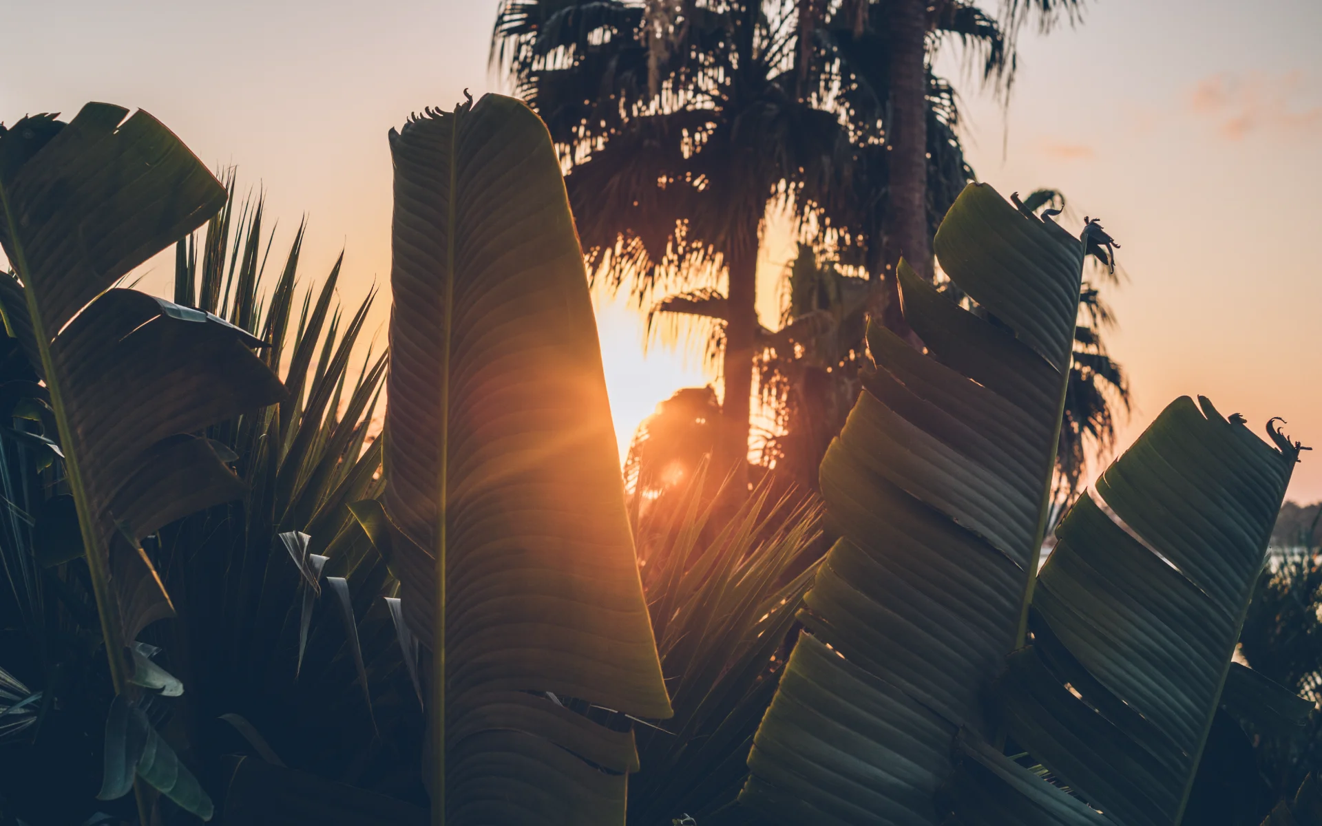 Hotel NYX Cancún Cancun Hotel NYX Cancún Cancun